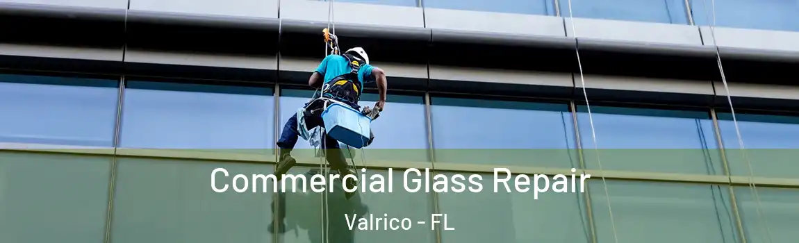 Commercial Glass Repair Valrico - FL