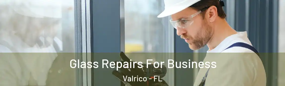  Glass Repairs For Business Valrico - FL