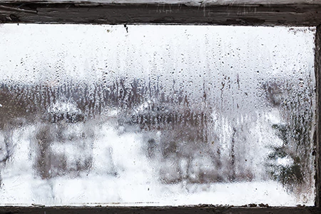 Defogging Double Pane Windows in Valrico, FL