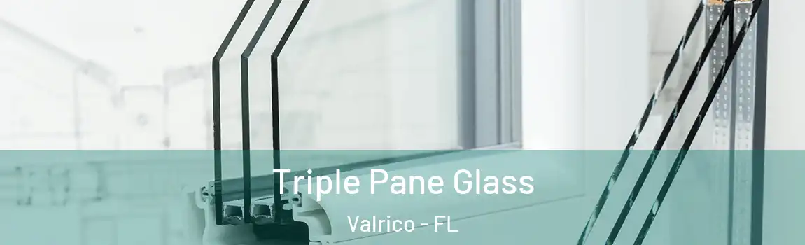  Triple Pane Glass Valrico - FL