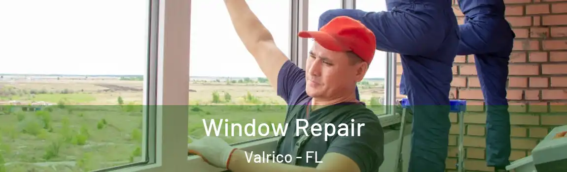  Window Repair Valrico - FL