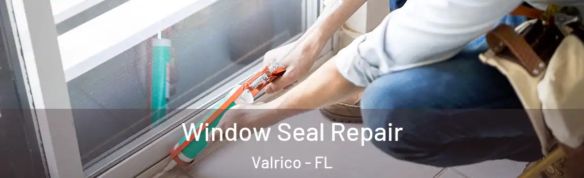 Window Seal Repair Valrico - FL